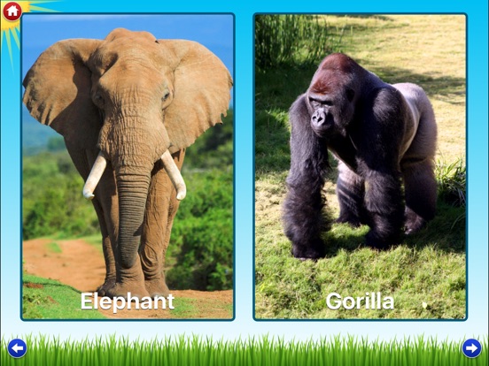 Zoo Sounds Lite - A Fun Animal Sound Game for Kids on the App Store