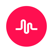 musical.ly - your video social network