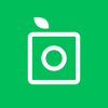 PlantSnap, Inc. - PlantSnap - Identify plants in a snap  artwork