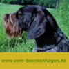 Tobit.Software - Vom Boeckenhagen artwork