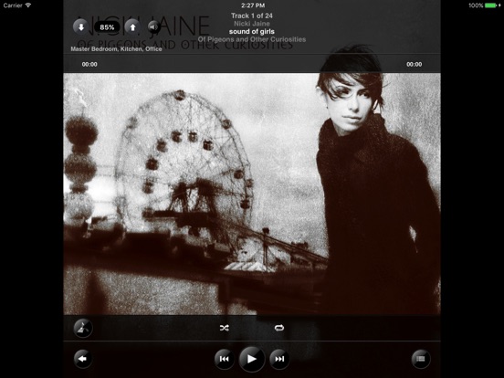 iPad Screenshot 4