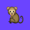 no app image