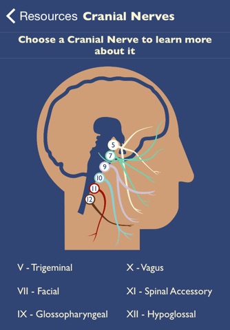 Dysphagia Therapy screenshot