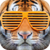 no app image