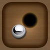 Black Holes