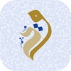 الشيخ الدكتور وسيم يوسف