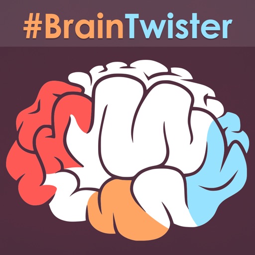 Brainz Logical Skill Puzzles icon