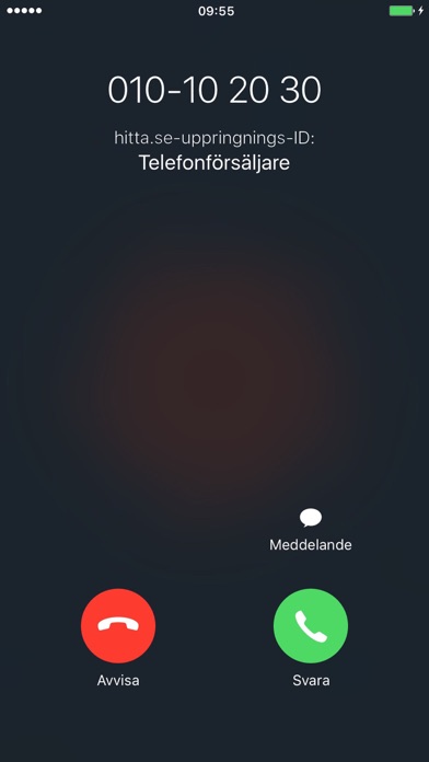iPhone Screenshot 2