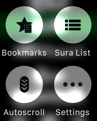 iPhone Screenshot 4
