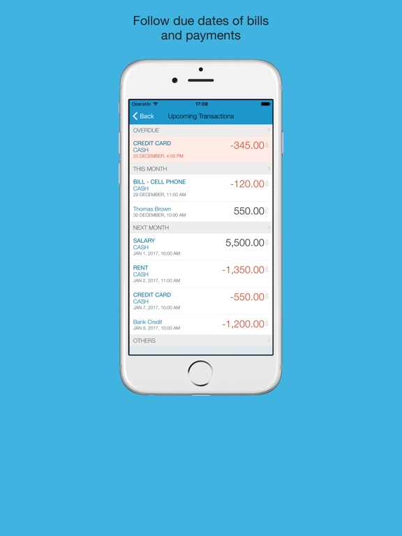iPad Screenshot 3