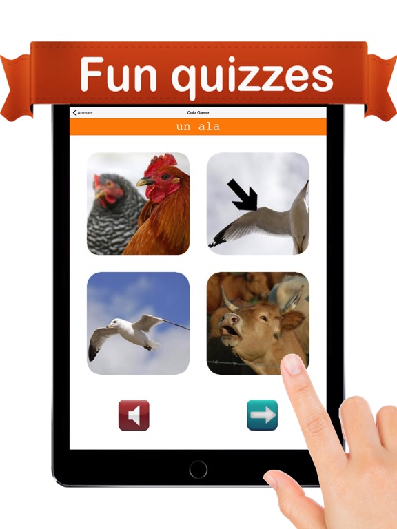 wet s 8 to fix how iphone a â„¢ App Spanish on the Store Learn