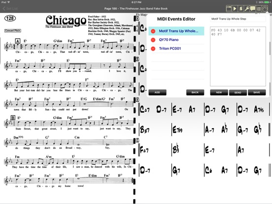 iPad Screenshot 1