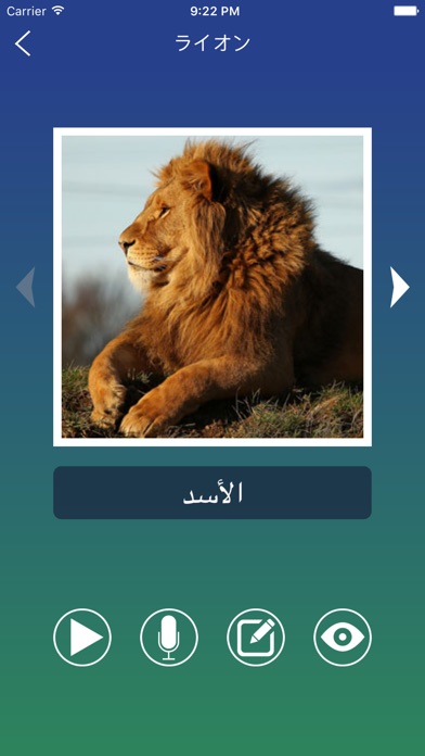 アラビア語単語のフラッシュカード screenshot1