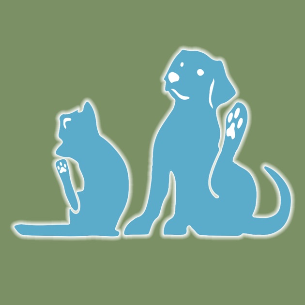 Animal Allergy Specialists California