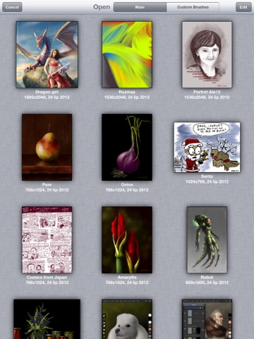 iPad Screenshot 5