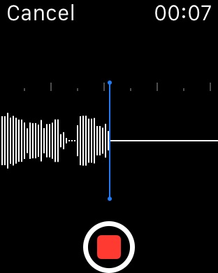 iPhone Screenshot 4