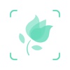 PictureThis - Plant identification Education Learn More