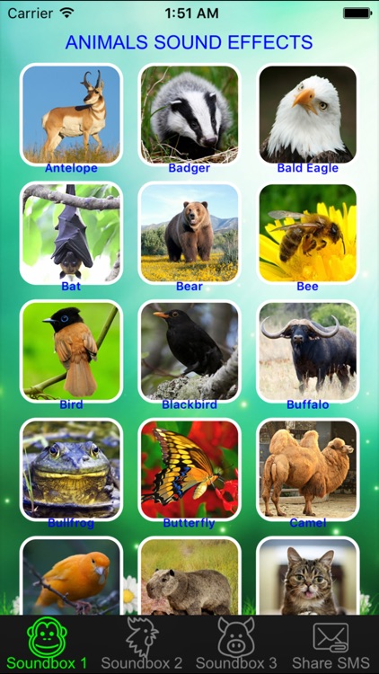 Wild Animal Soundboard Button - Listening Real Animals Sound Effects &  Nature Sounds Plus by Son Dang