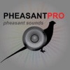REAL Pheasant Calls Pheasant Hunting Calls soundtracks accompaniment 