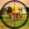 Wild Animal Hunter 3D-Real Predator Animal Hunting game wild animal videos 