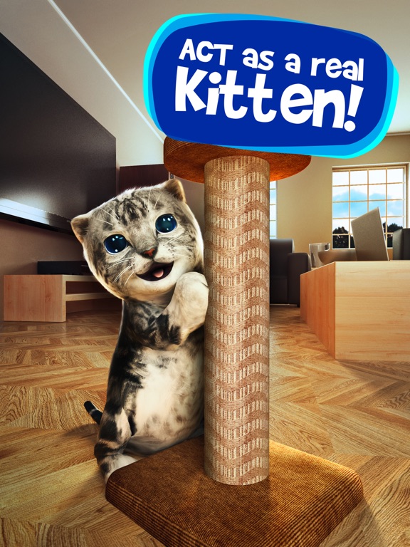 Screenshots of Cat Simulator 2015 for iPad