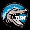 iBSN