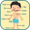 Learning Human Body Parts - Baby Learning Body Parts list human body parts 