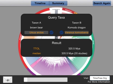 iPad Screenshot 3