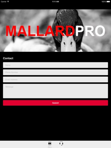 Captura de pantalla del iPad 4