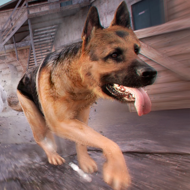 Mon Animal Virtuel . Jeu de Chien de Course Jouet Amusant Mon Animal Virtuel . Jeu de Chien de Course Jouet Amusant