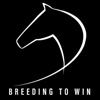 Breeding To Win horses breeding 