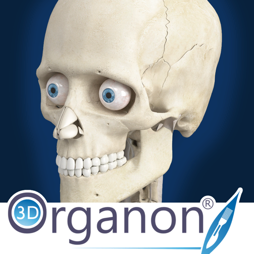 3D Organon Anatomy - Skeleton, Bones, and Ligaments Mac OS X