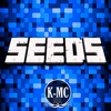 Seeds for Minecraft PE : Free Seeds Pocket Edition mmj seeds 