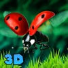 Flying Ladybug Insect Simulator 3D large flying insect identification 
