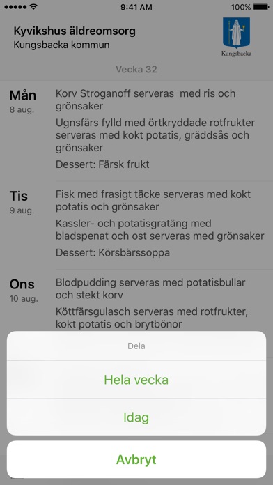 iPhone-skärmavbild 3