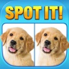 Spot The Difference! - What's the difference? A fun puzzle game for all the family freeware shareware difference 