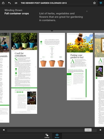 iPad Screenshot 2