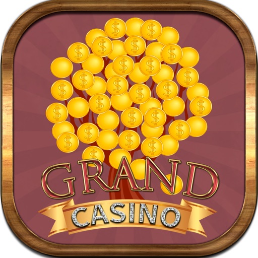 Casino xtreme
