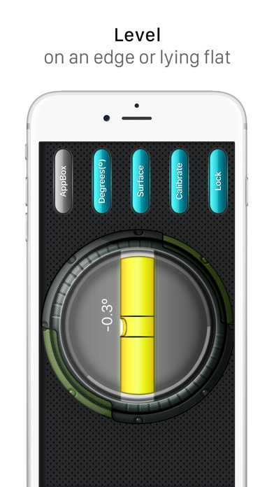 iPhone Screenshot 4