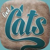 Cool Cats Videos videos for cats 