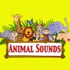 Animal Sounds For Babies Premium| learn and entertain with fun animal sounds list of animal sounds 