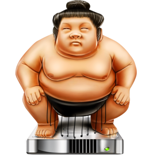 Open sumo file