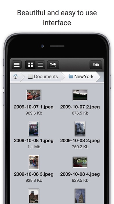 iPhone Screenshot 2