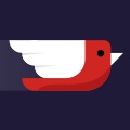 Swifty - Learn how to code in Swift!