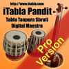 Vidya Multimedia - iTabla Pandit Professional アートワーク