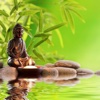 Zen Waves Free - Ambient Music to Reduce Stress, Guided Meditation and Relaxation