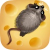 Spiel für Katzen Deluxe