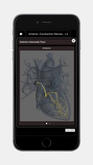 iPhone Screenshot 4