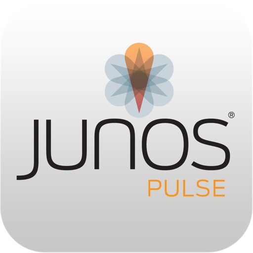 junos vpn monitor source ip