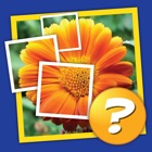 Mosaïque: Tap 1 image et devinez 1 mot! icon